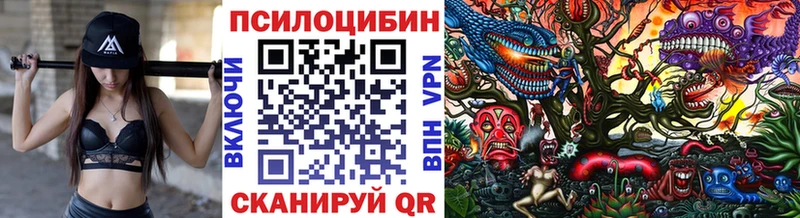Купить где  Порхов  Псилоцибиновые грибы прущие грибы 