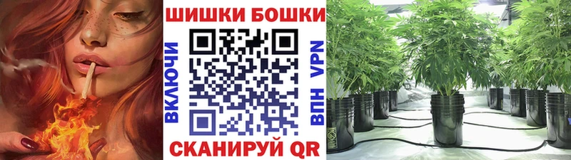 Бошки Шишки гибрид  Купить где  Порхов 